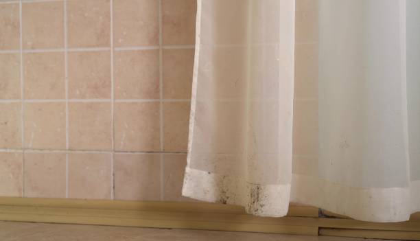 Best Residential Mold Inspection & Testing  in Farmington, MN