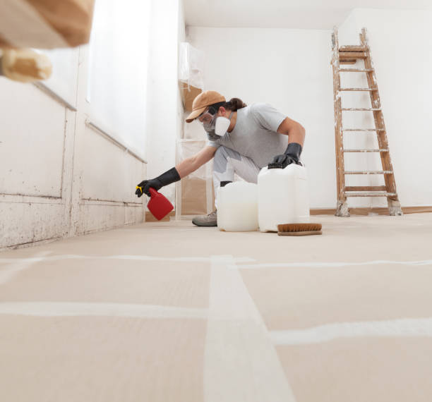 Best Mold Prevention Services  in Farmington, MN